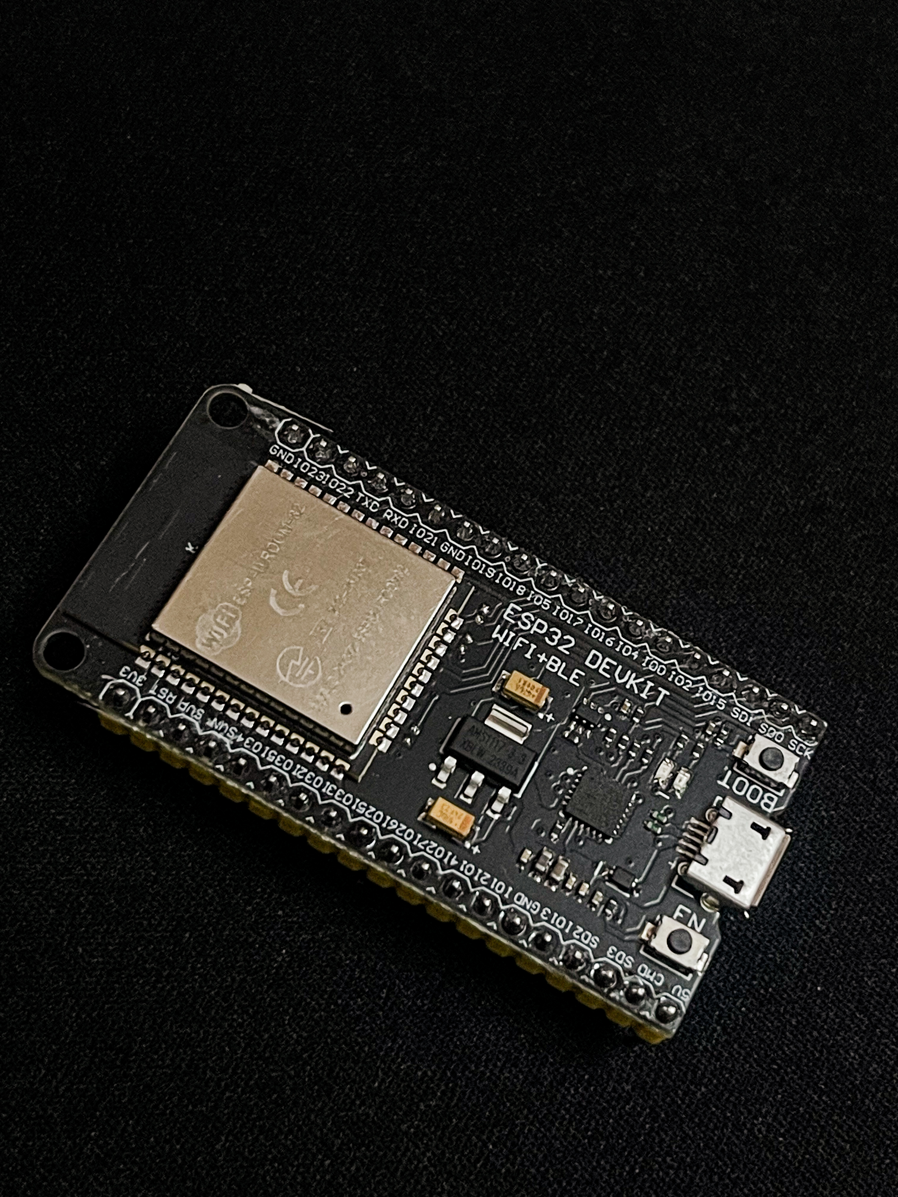 esp32 back view